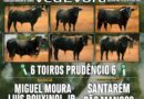São Manços recebe grande corrida de toiros a 29 de agosto