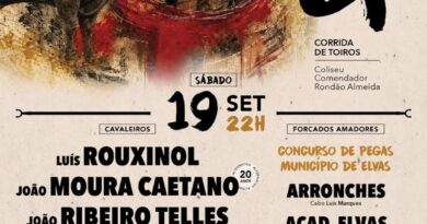 Feira Taurina de São Mateus regressa a Elvas com duas corridas em setembro