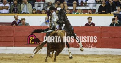 Crónica e Galeria da primeira da Feira da Moita.