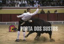 As imagens do Concurso Internacional de Recortadores na Palha Blanco