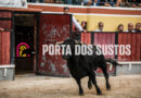 Uma tarde com notas de destaque – Por : Duarte Viegas